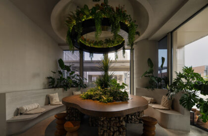 Velvi Tea & Spirits | Murong Design