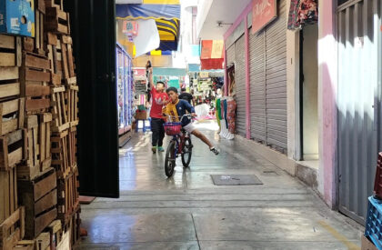 Barrio Mercado Cuidador: New System Of Elevated Walkways And Equipment For The Community Of The North Lima Producers' Market | Architecture Thesis on Urban Regeneration