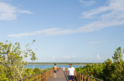 Bacalar Eco-Park | Colectivo C733