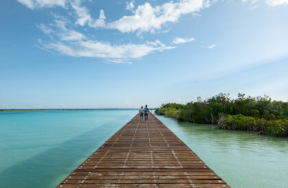 Bacalar Eco-Park | Colectivo C733