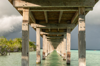 Bacalar Eco-Park | Colectivo C733