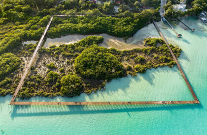 Bacalar Eco-Park | Colectivo C733