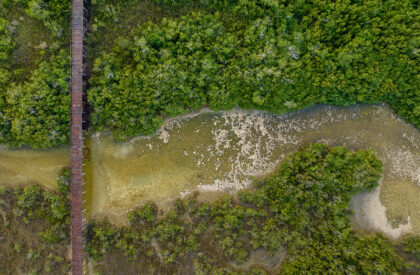 Bacalar Eco-Park | Colectivo C733