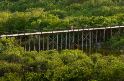 Bacalar Eco-Park | Colectivo C733