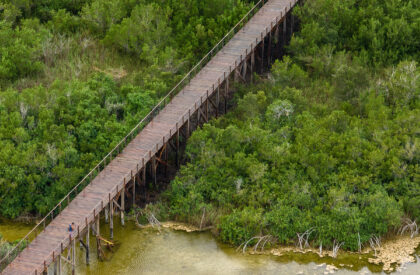 Bacalar Eco-Park | Colectivo C733