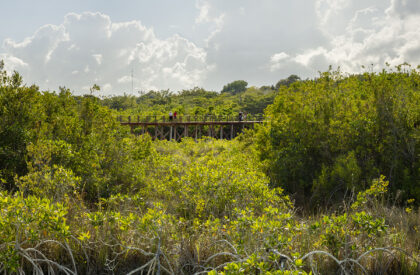 Bacalar Eco-Park | Colectivo C733