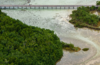 Bacalar Eco-Park | Colectivo C733