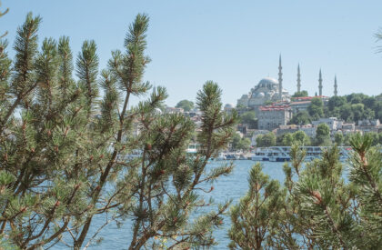 Büyükada Songlines | Studio Ossidiana