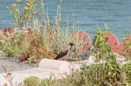 Büyükada Songlines | Studio Ossidiana
