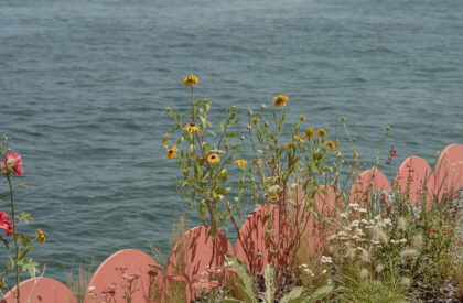 Büyükada Songlines | Studio Ossidiana