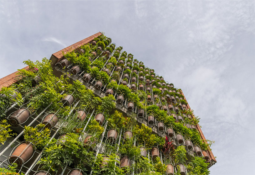 Flying Vegetation | H&P Architects