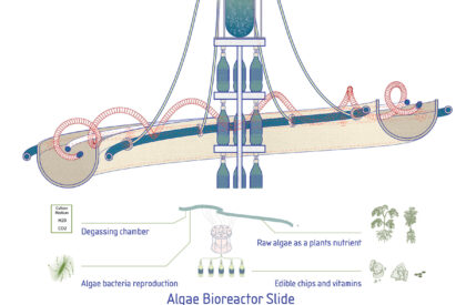 Re-Inflate: Reimagining Laguna Vere as a Living Eco-Machine for Tbilisi | Bachelors Design Project on Adaptive Reuse