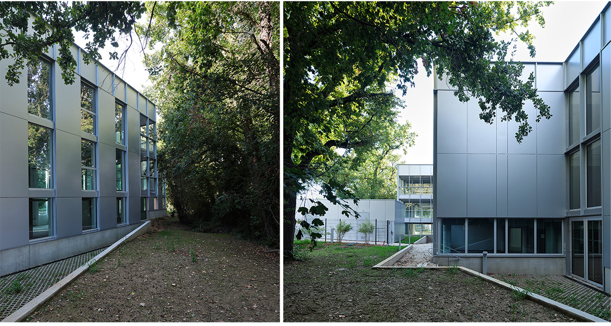 Hanami Offices | TAA (Taillandier Architectes Associés)