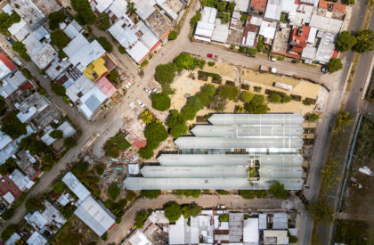 Mercado Guadalupe | Colectivo c733