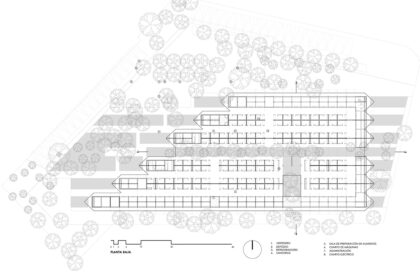 Mercado Guadalupe | Colectivo c733