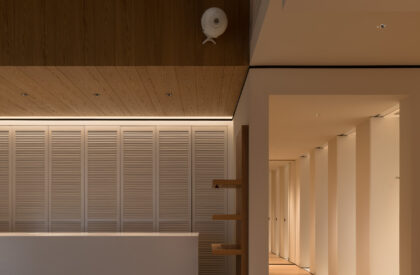 Nice Rice Upper Hills Concept Store | Say Architects