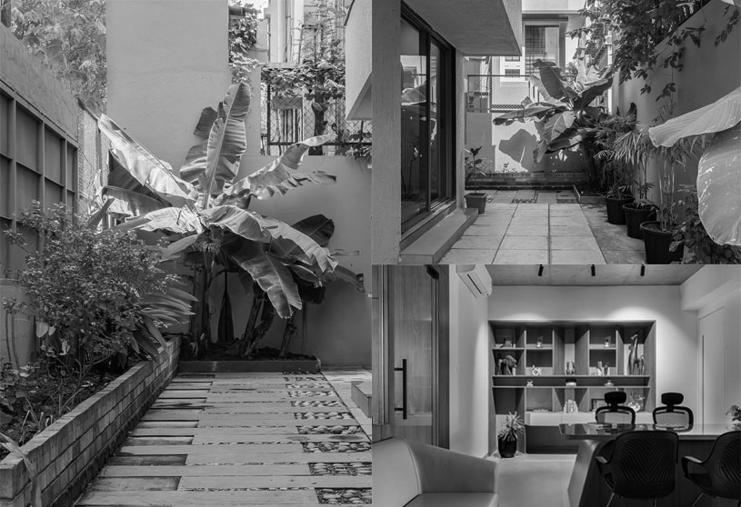 S Talekar and Associates
