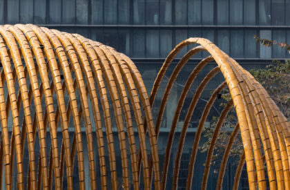The Source: Ashui Pavilion 2026 | H&P Architects