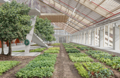 Productive Garden + Living: Reimagining Housing as a Space for Living and Growing | Masters Design Project