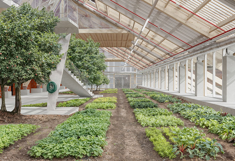 Productive Garden + Living: Reimagining Housing as a Space for Living and Growing | Masters Design Project