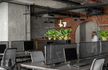 Arched Office | Terra Firma Architects