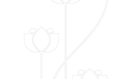 Birds In Paradise | Think With Us