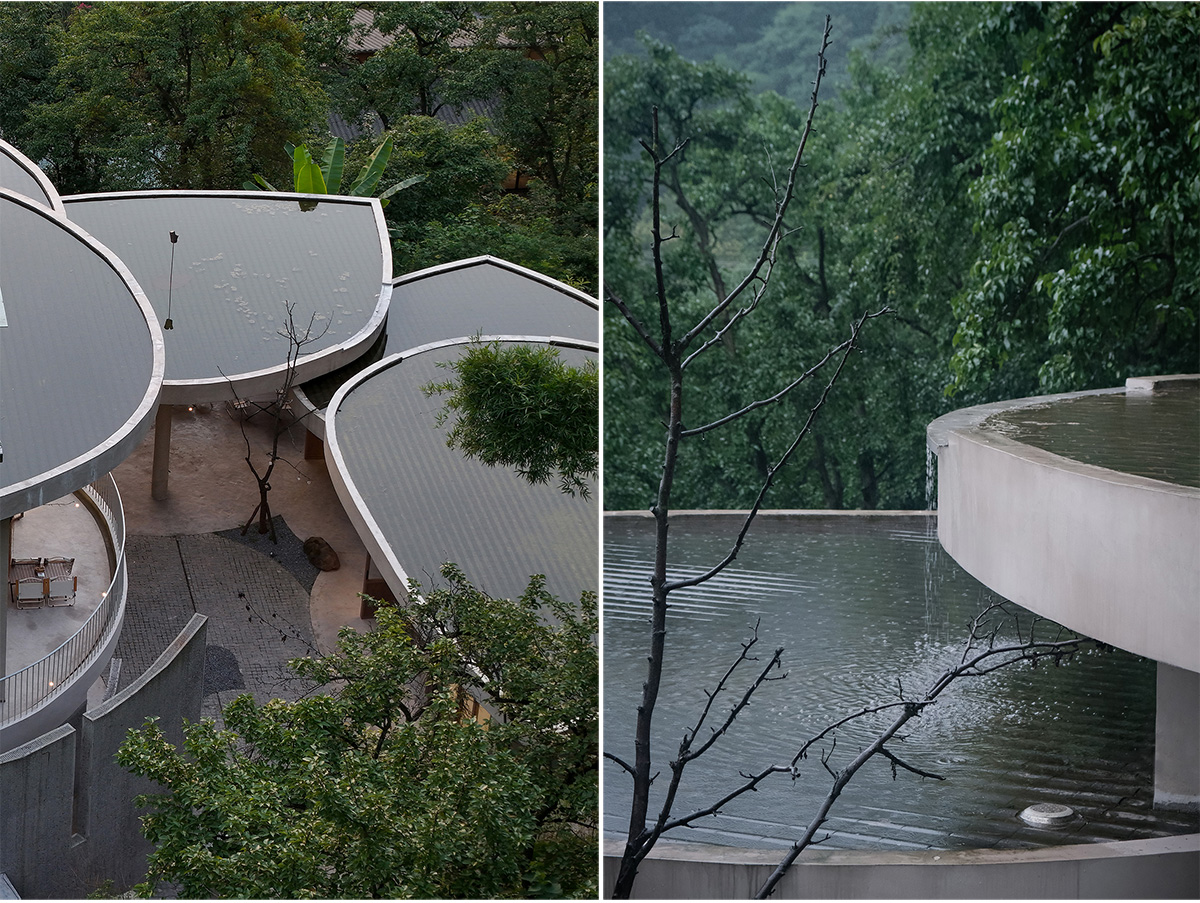 Buzzy Sunny· Feixue Pavilion | Archermit