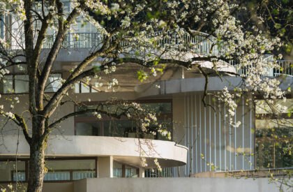 Buzzy Sunny· Feixue Pavilion | Archermit