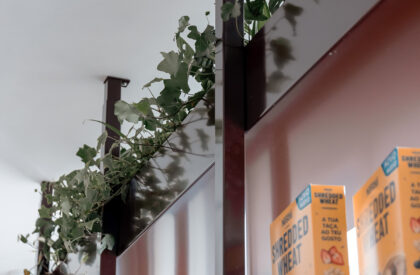 Nestlé The Good Store | Contacto Atlântico