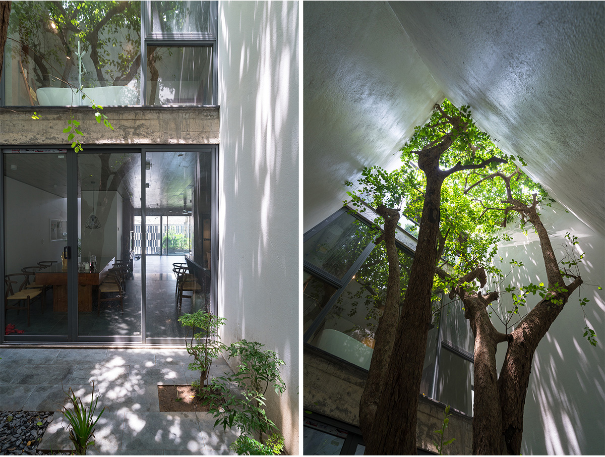 V1 House | TNT Architecture