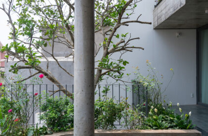 V1 House | TNT Architecture