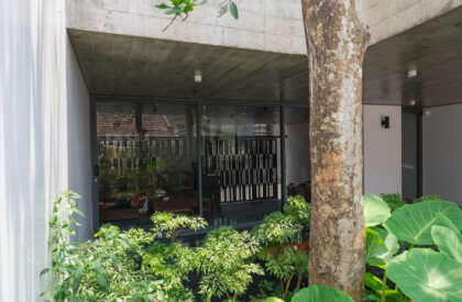 V1 House | TNT Architecture