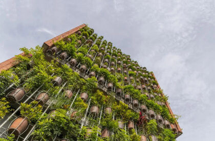 Flying Vegetation | H&P Architects