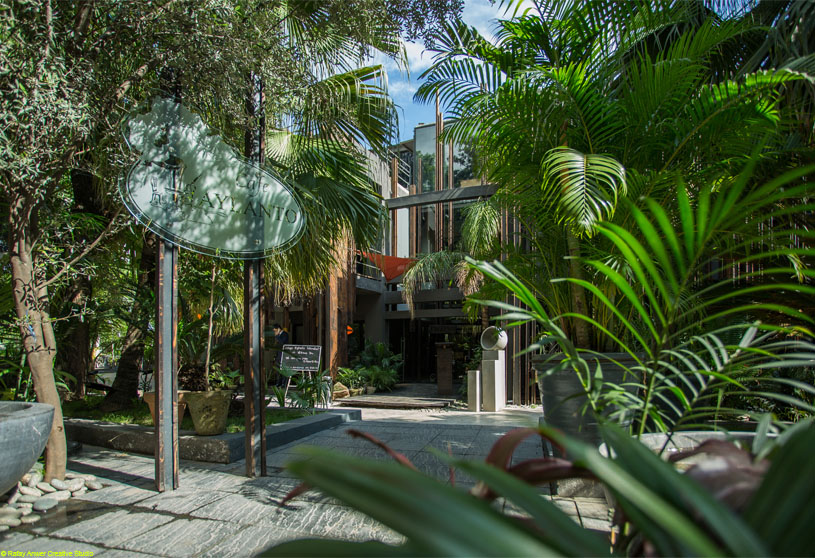 Café Aylanto | DB Studios