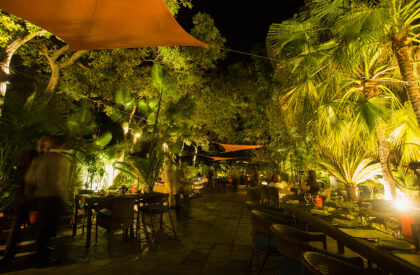 Café Aylanto | DB Studios
