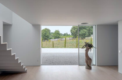 MTMG House | NOARQ