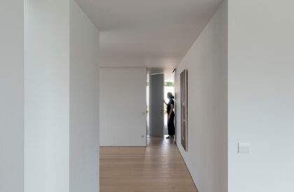 MTMG House | NOARQ