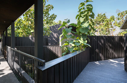 Sataa Resort Nan | Studio Miti