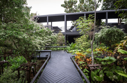 Sataa Resort Nan | Studio Miti