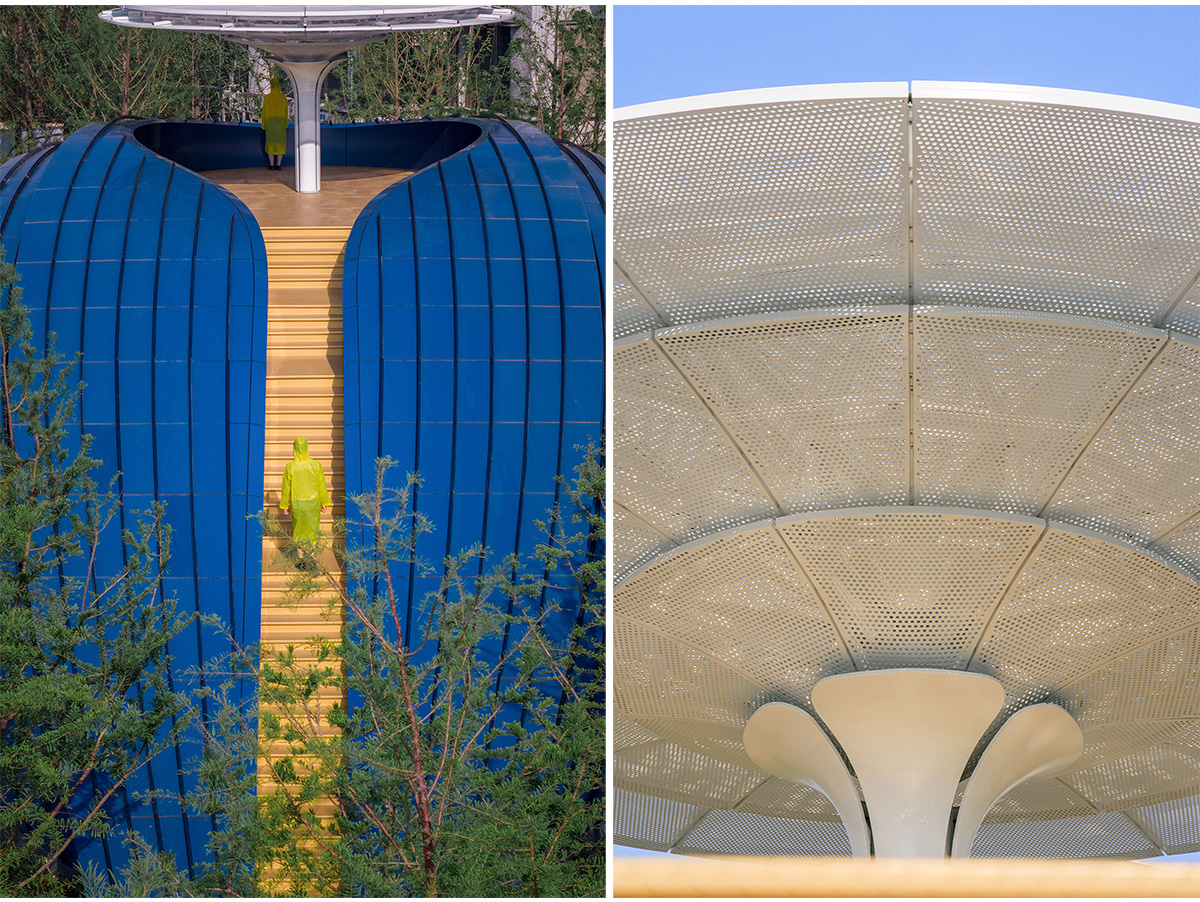 Whale Gate | Wutopia Lab