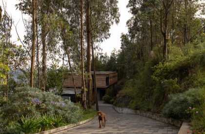 House 29 | estudio29