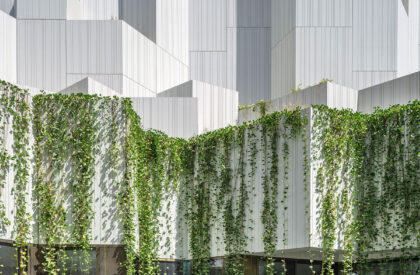Natural History Museum Abu Dhabi | Mecanoo