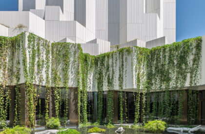 Natural History Museum Abu Dhabi | Mecanoo