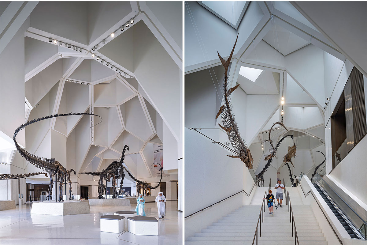 Natural History Museum Abu Dhabi | Mecanoo