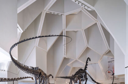Natural History Museum Abu Dhabi | Mecanoo