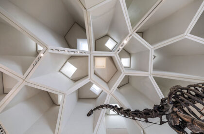 Natural History Museum Abu Dhabi | Mecanoo