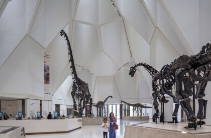 Natural History Museum Abu Dhabi | Mecanoo