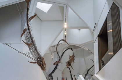 Natural History Museum Abu Dhabi | Mecanoo