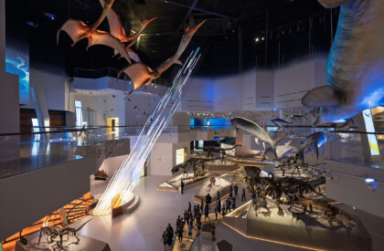 Natural History Museum Abu Dhabi | Mecanoo