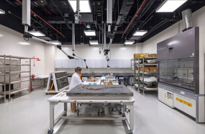 Natural History Museum Abu Dhabi | Mecanoo